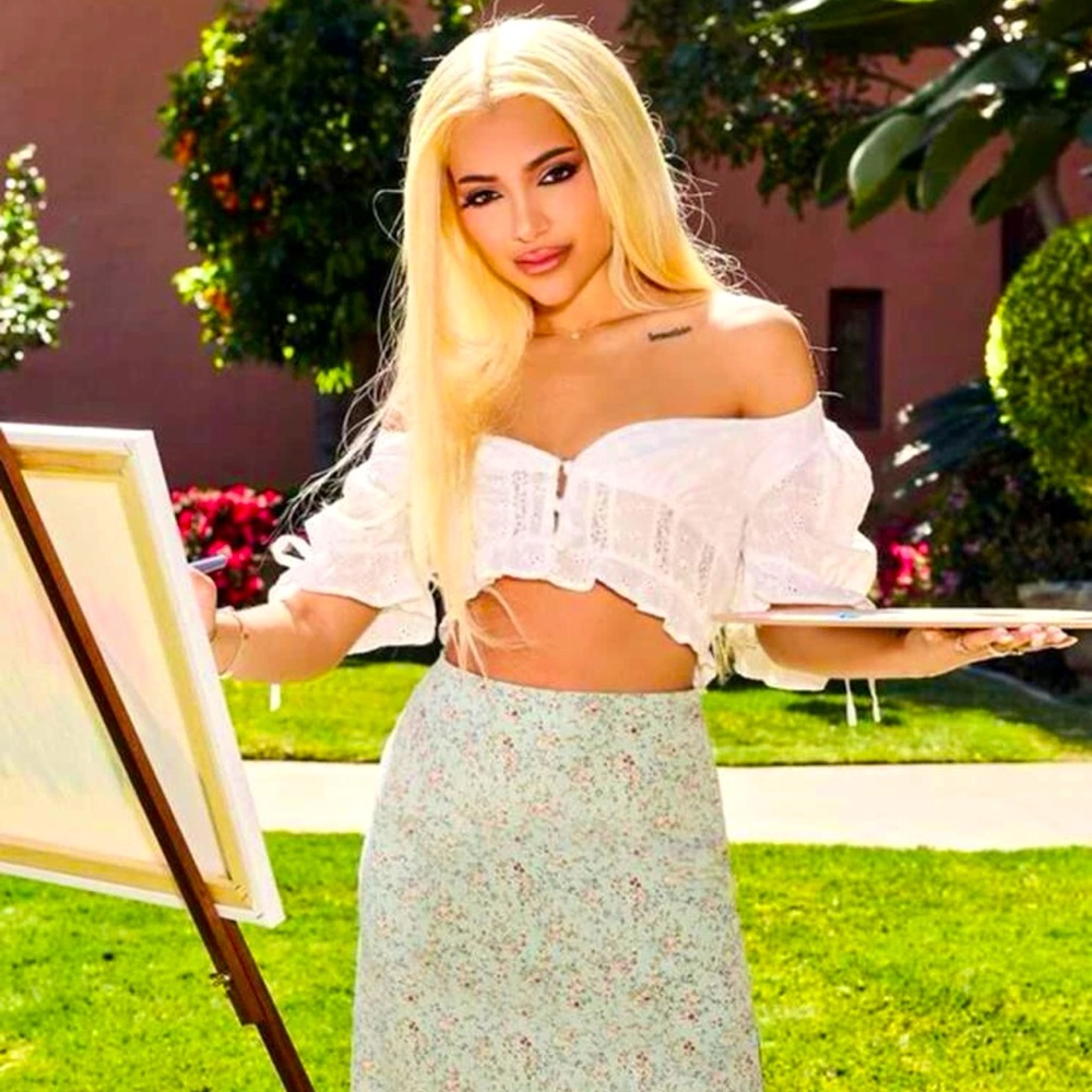 ⭐️ 3/$10 ⭐️ NWOT Gabi DeMartino X SHEIN Puff Sleeve Tie Back Crop Schiffy